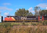 CN 8893